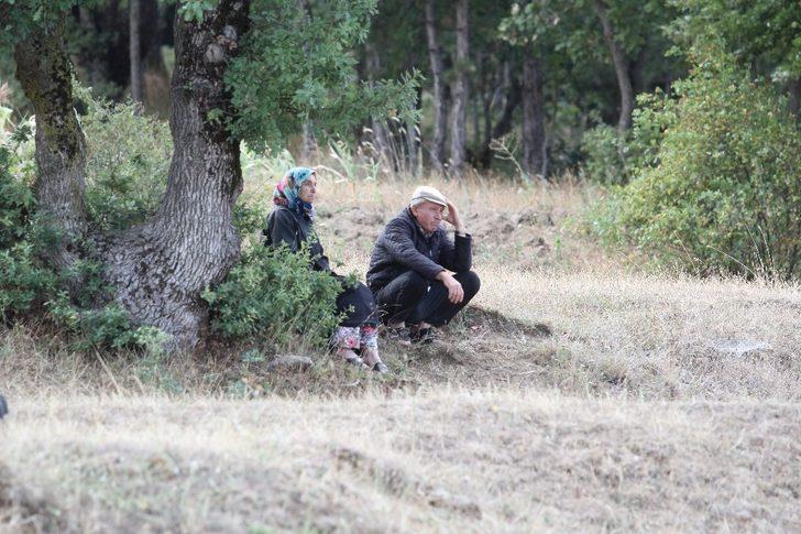 Son dakika! Bursa'da orman yangını! AFAD herkesten destek istedi G3