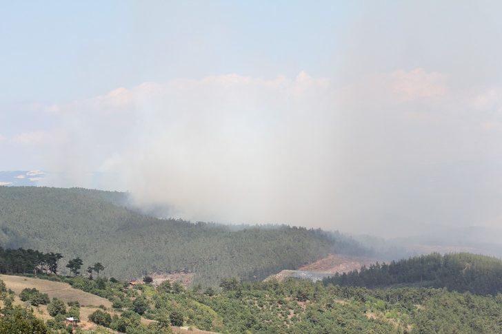 Son dakika! Bursa'da orman yangını! AFAD herkesten destek istedi G2
