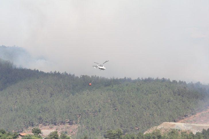 Son dakika! Bursa'da orman yangını! AFAD herkesten destek istedi G1