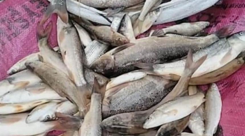 Derede balık otuyla ava 3 bin 270 lira ceza