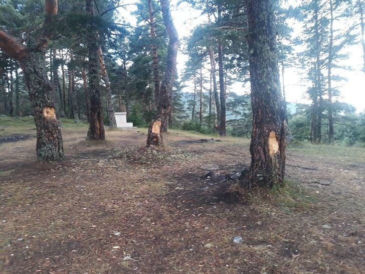 Pikniğe giden vatandaşlar şoke oldu! 'Bunlar insan mı acaba?' G1