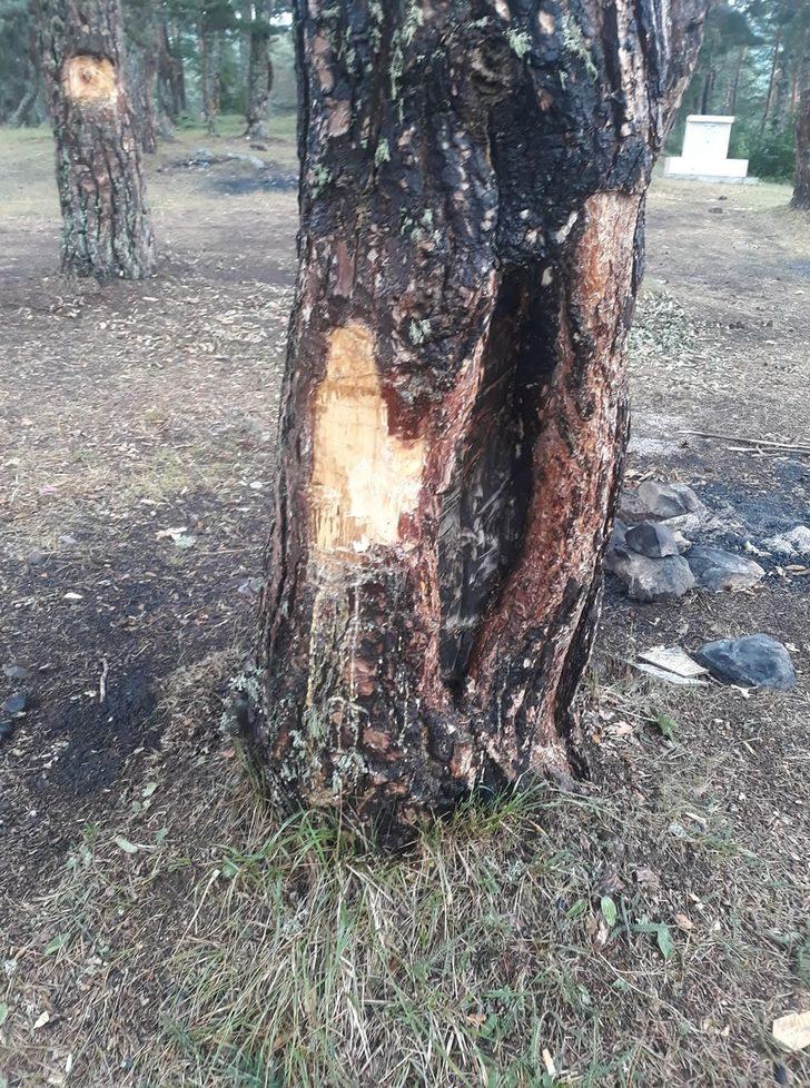 Pikniğe giden vatandaşlar şoke oldu! 'Bunlar insan mı acaba?' G5