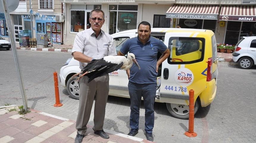 Tesad&uuml;f eseri bulundu