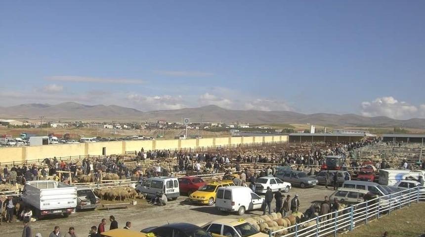 Kırşehir Ticaret Borsası, Kurban Bayramı hazırlıklarını s&uuml;rd&uuml;r&uuml;yor