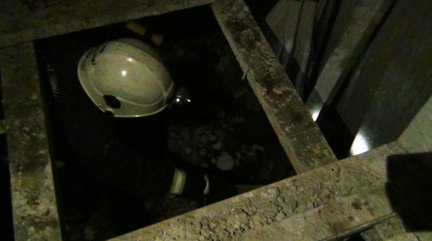 Asans&ouml;r boşluğuna d&uuml;şen k&ouml;peği itfaiye kurtardı