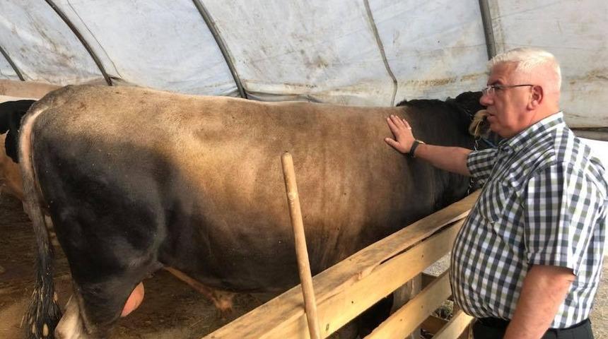 Başkan Y&uuml;ksel, kurban pazarını ziyaret etti