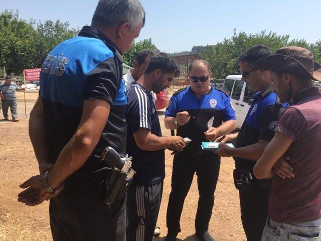 Antalya’da hayvan pazarında  dolandırıcılık uyarısı