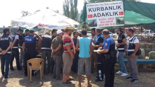 Antalya’da hayvan pazarında  dolandırıcılık uyarısı