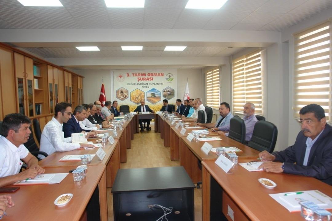 Sivas&rsquo;ta 3. Tarım Şurası &ouml;ncesi değerlendirme toplantısı yapıldı