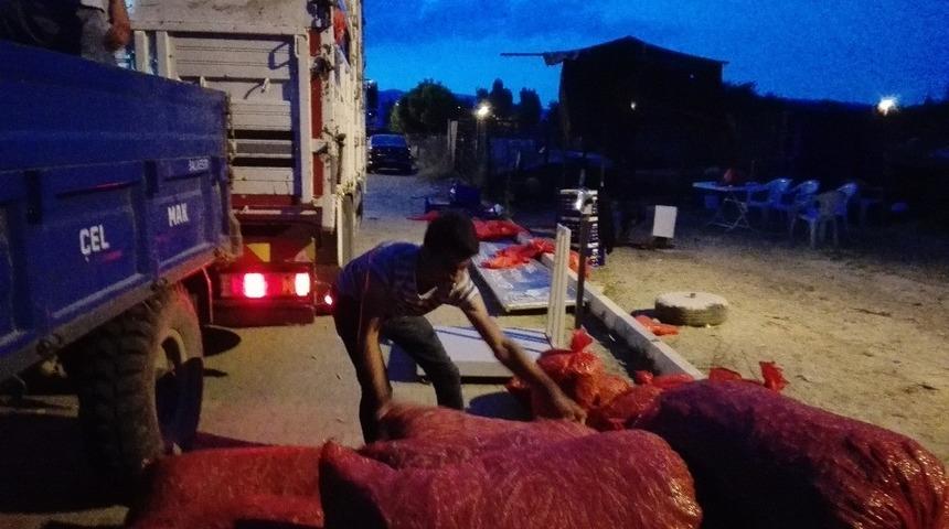 Pazaryeri&rsquo;nin tescilli boncuk fasulyesi hasadı başladı