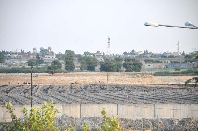 PKK/PYD terör örgütü sınırdaki bez parçalarını indirdi