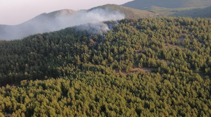 Muğla'da korkutan orman yangını!