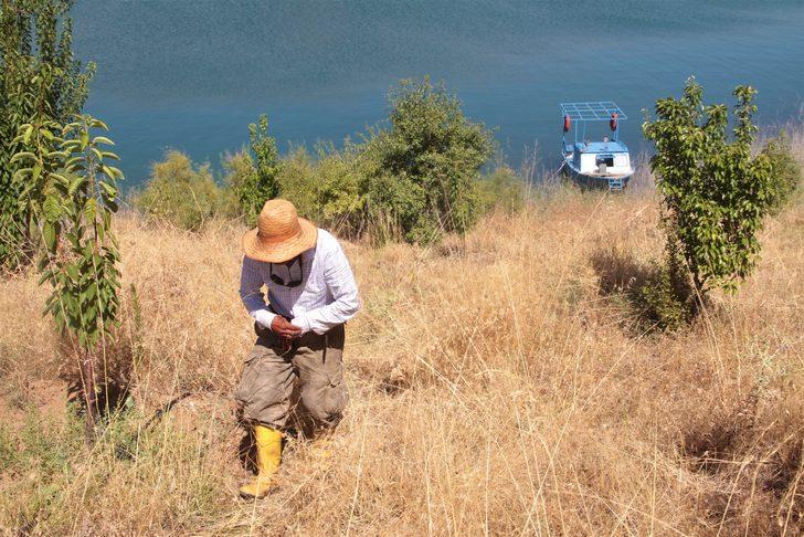 Eşi ölünce yerleştiği adayı 14 yılda bambaşka bir yer haline getirdi G4