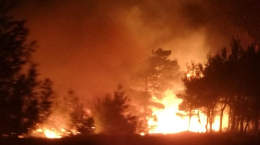 Gölbaşı’nda ormanlık alan yandı