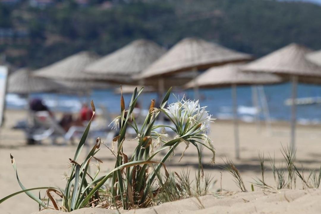 Pamucak sahilleri beyaza b&uuml;r&uuml;nd&uuml;