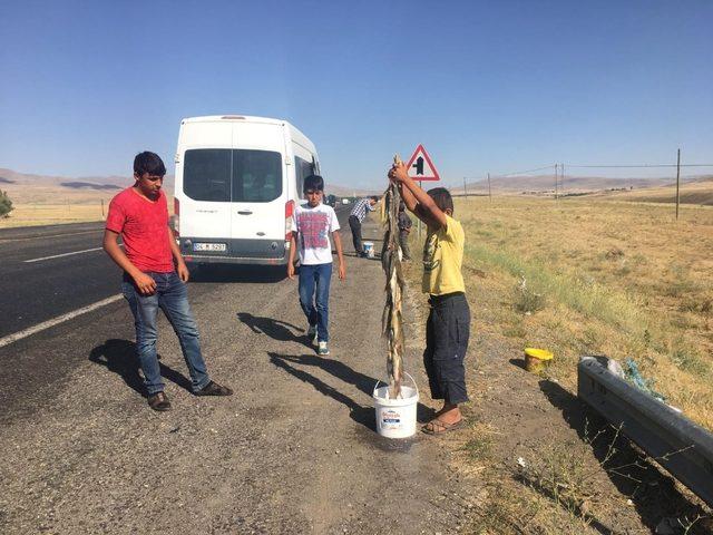 Derelerden tutup, yol kenarında satıyorlar