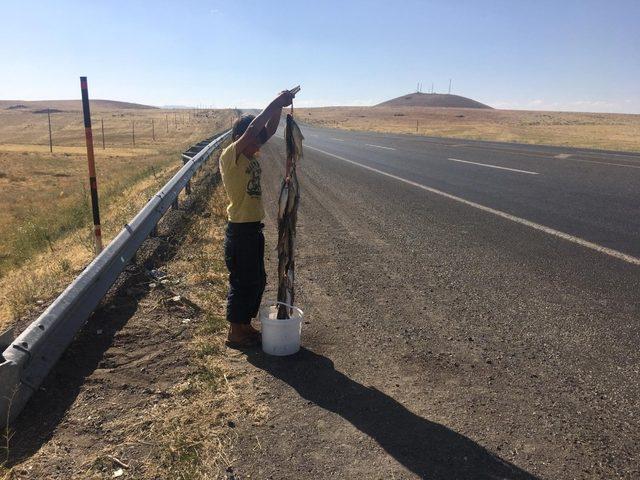 Derelerden tutup, yol kenarında satıyorlar