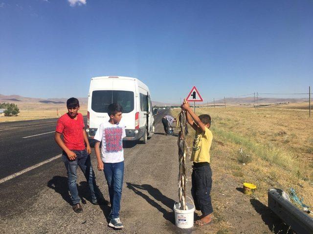 Derelerden tutup, yol kenarında satıyorlar