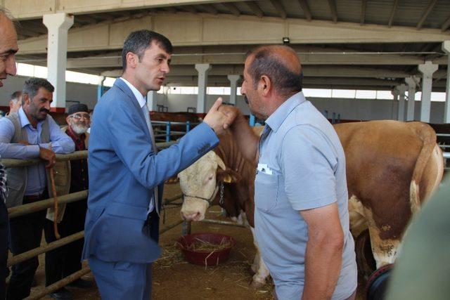 Kurban satıcılarının arefe günü umudu