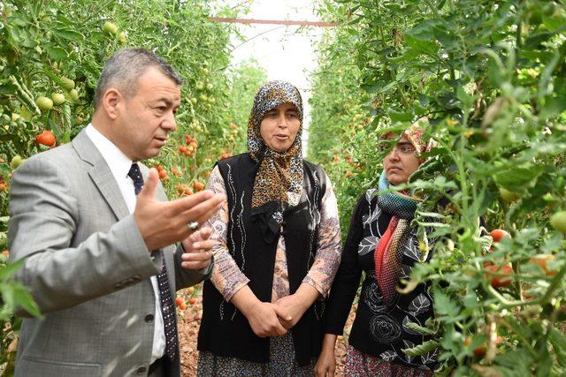 Antalya’da 10 bin 484 çiftçiye biyolojik mücadele eğitimi verildi