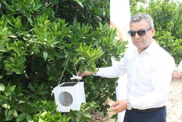 Antalya’da 10 bin 484 çiftçiye biyolojik mücadele eğitimi verildi