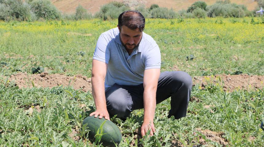 İş bulamayınca karpuz yetiştirdi