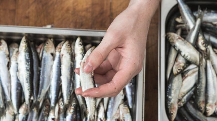Balık keyfiniz yarım kalmasın: Ele sinen balık kokusu nasıl giderilir?