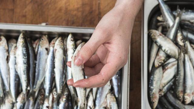 Balık keyfiniz yarım kalmasın: Ele sinen balık kokusu nasıl giderilir?