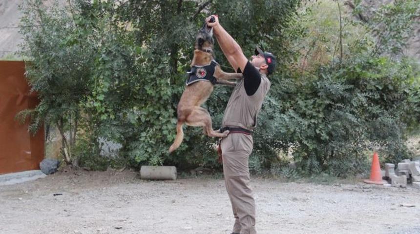'Cadı', 'Pars' ve 'Tipi' Hakkari'de uyuşturucuya geçit vermiyor