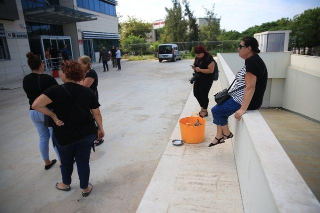 Milli antrenör Özdiyar’ı köpeği yalnız bırakmadı