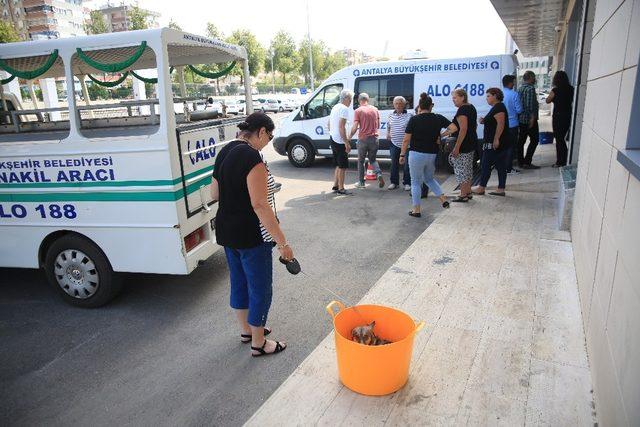 Milli antrenör Özdiyar’ı köpeği yalnız bırakmadı