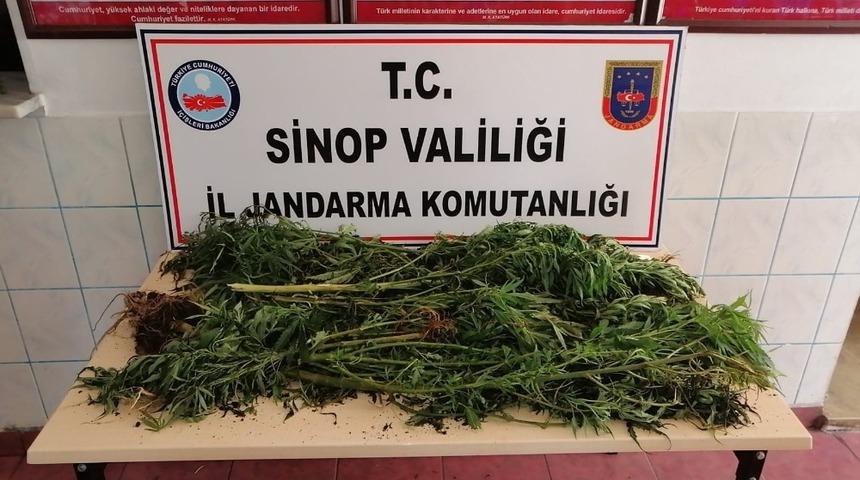 Sinop&rsquo;ta uyuşturucu operasyonu