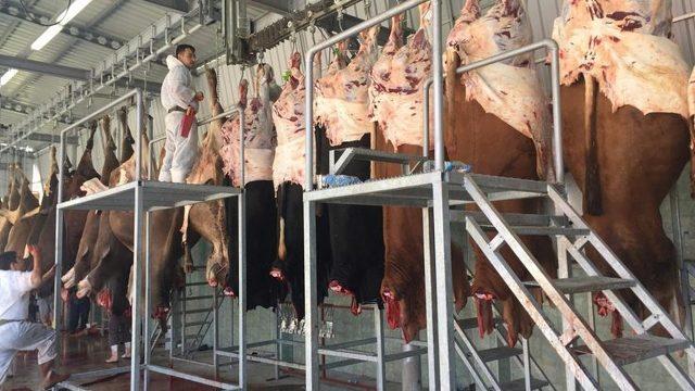 'Veteriner gözetimindeki geçici kesim yerleri tercih edilmeli'