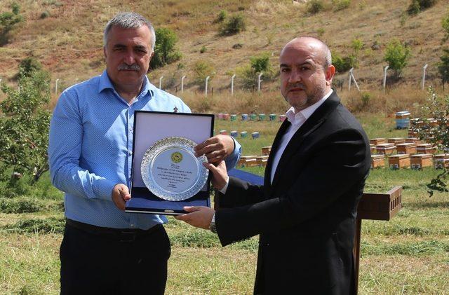 Tokat’ta bal hasadı başladı 2