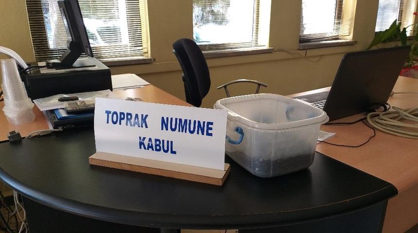 Keşan&rsquo;da yılın ilk ay&ccedil;i&ccedil;eği 5.06 TL&rsquo;den alıcı buldu