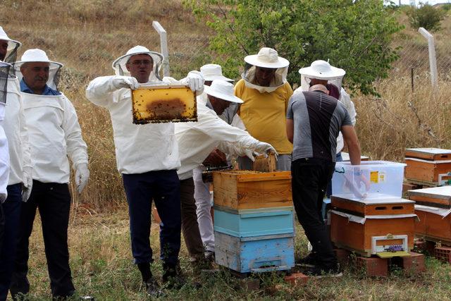 Tokat ta haziran yağmurları, bal &uuml;retimini etkiledi 4