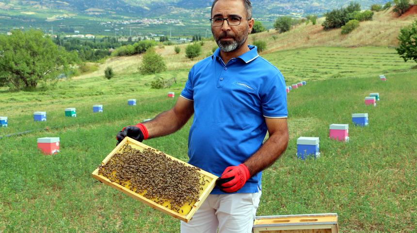 Tokat'ta haziran yağmurları, bal &uuml;retimini etkiledi