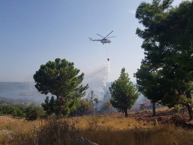 Orman yangınında 1 hektar ormanlık alan zarar gördü