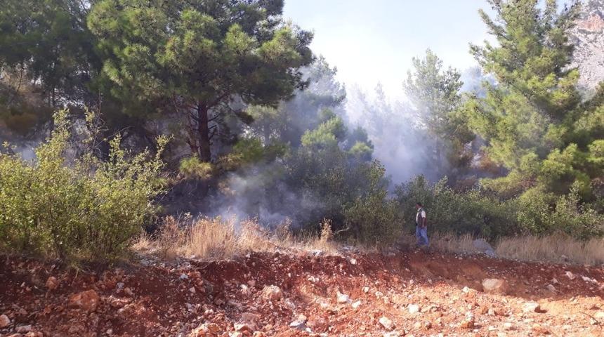 Orman yangınında 1 hektar ormanlık alan zarar g&ouml;rd&uuml;