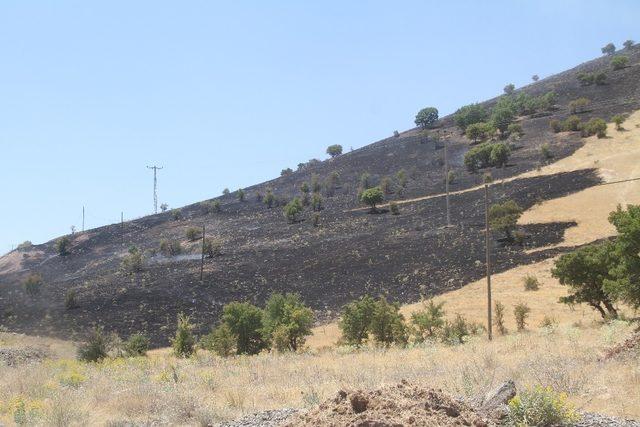 Elazığ’da  orman yangını