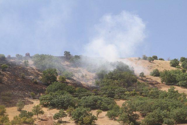 Elazığ’da  orman yangını