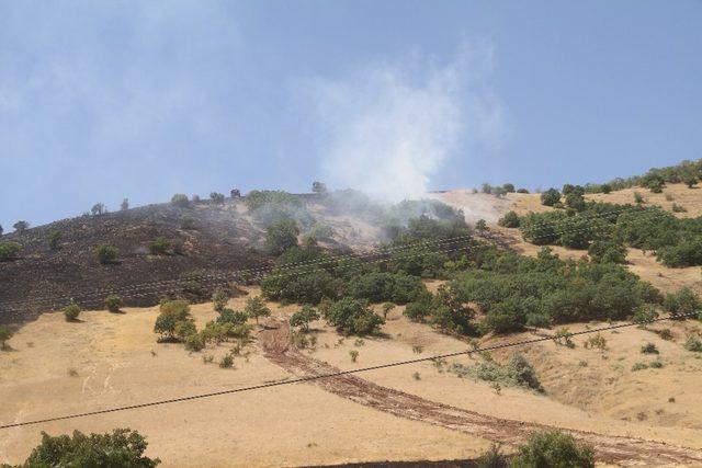 Elazığ’da  orman yangını