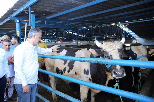 Büyükşehirden Kurban Bayramı’nda çevre hassasiyeti