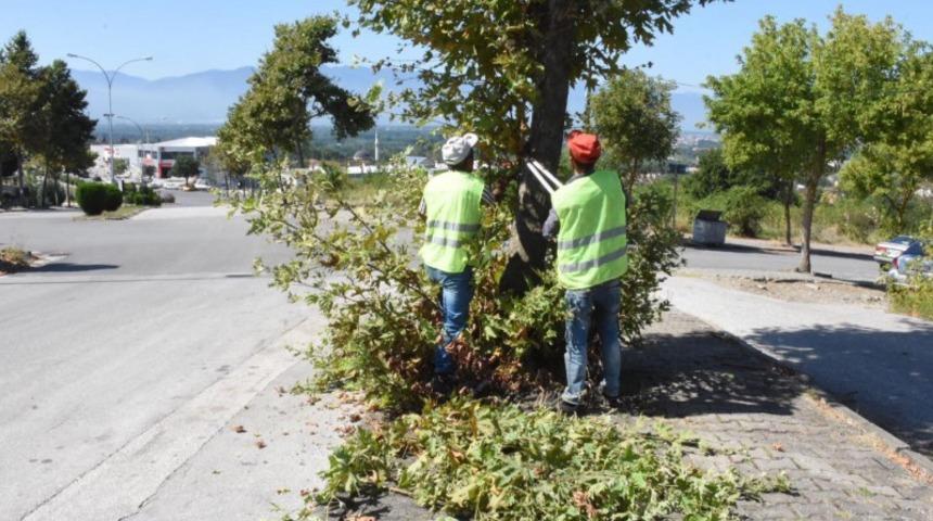 Belediye ekiplerinden kalıcı konutlarda bayram temizliği
