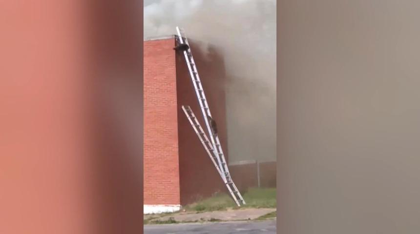 Rakunların hayatını yangın merdiveni kurtardı!