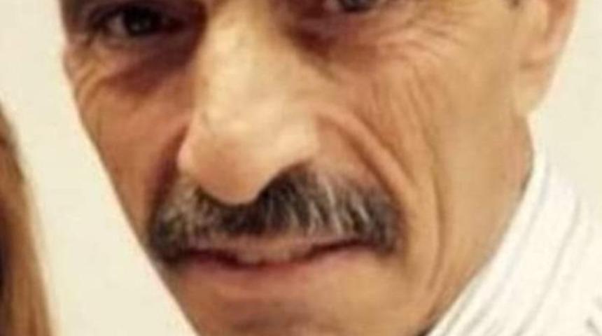 Tomruk &ccedil;arpan orman iş&ccedil;isi hayatını kaybetti