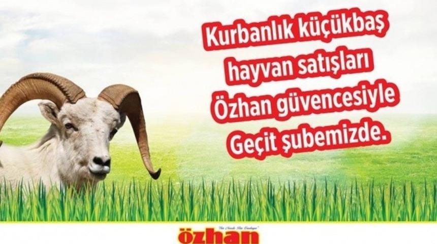 Özhan’da kurbanlık satışları başladı