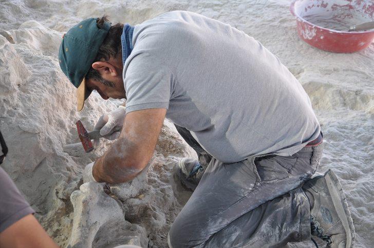 Yeniyaylacık'ta fosiller gün yüzüne çıkarılıyor G1