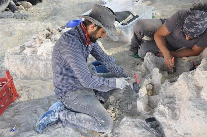 Yeniyaylacık'ta fosiller gün yüzüne çıkarılıyor G2