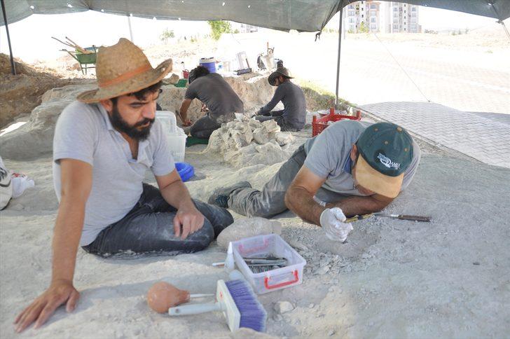 Yeniyaylacık'ta fosiller gün yüzüne çıkarılıyor G3